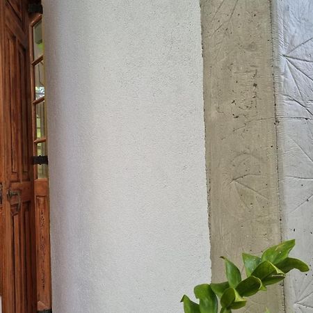 Colive Ahangama Exteriör bild